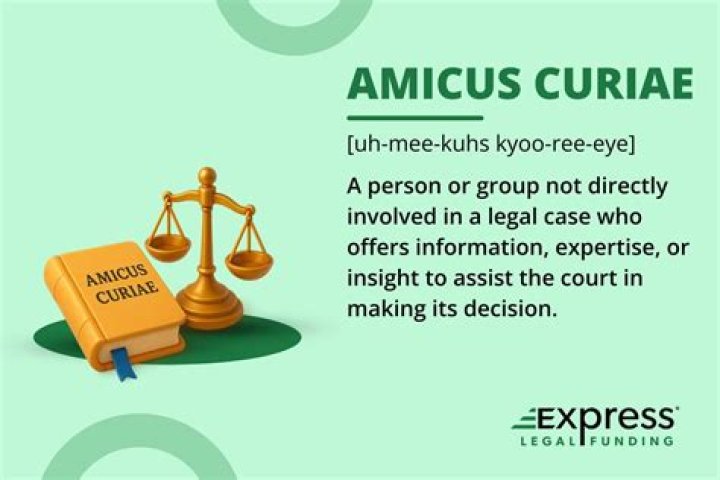 Amicus curiae - How To Discuss