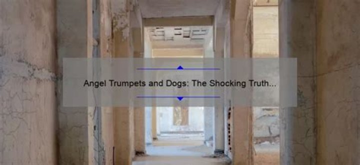 Are Angel Trumpets Toxic To Dogs