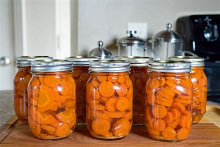 Are Canned Carrots Good For A Dog To Eat