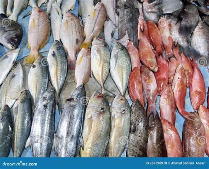 Are Fish Sold In Pet Stores Wild Vaught