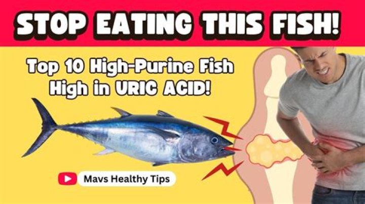 Are Small Fishes High In Uric Acid