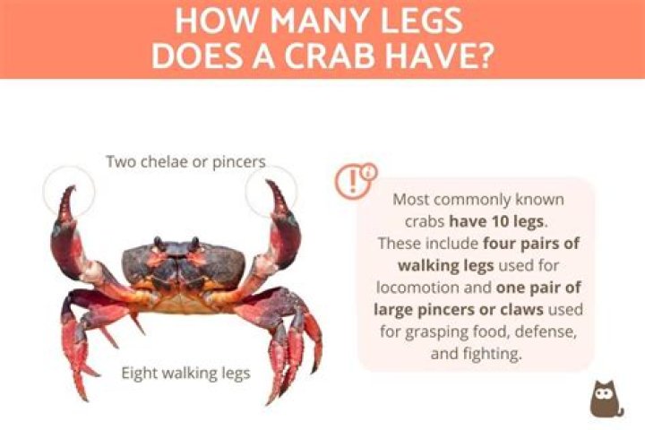 Bjs Crab Legs - How To Discuss