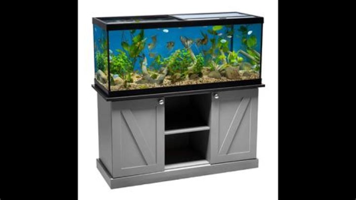 Can Concrete Second Floor.Support 75 Gallon Fish Tank