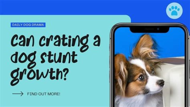 Can Crating A Dog Stunt Growth