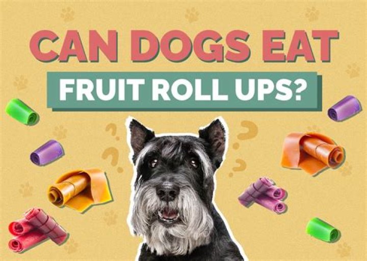 Can Dogs Eat Fruit Roll Ups
