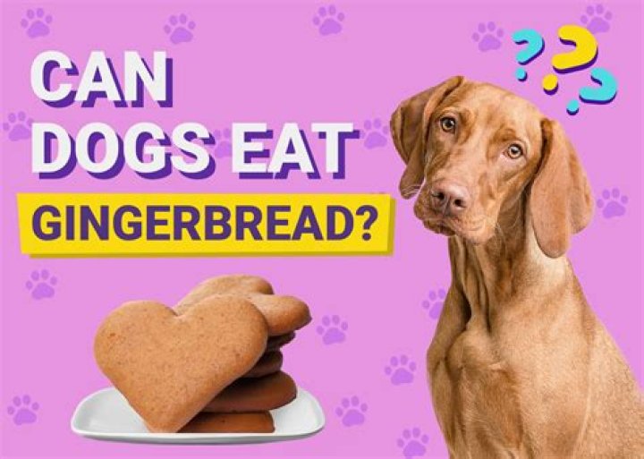 Can Dogs Eat Gingerbread Cookies
