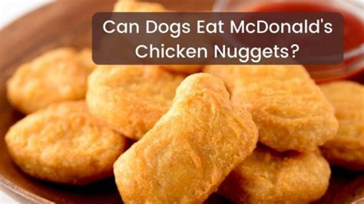 Can Dogs Eat Mcdonald’s Chicken Nuggets
