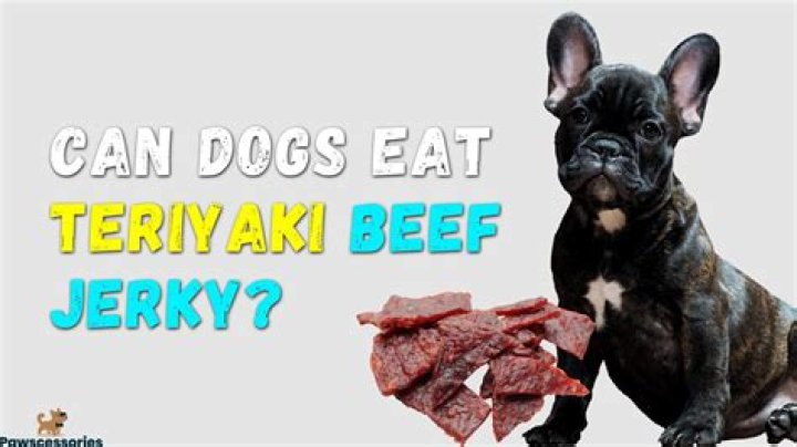 Can Dogs Eat Teriyaki Beef Jerky