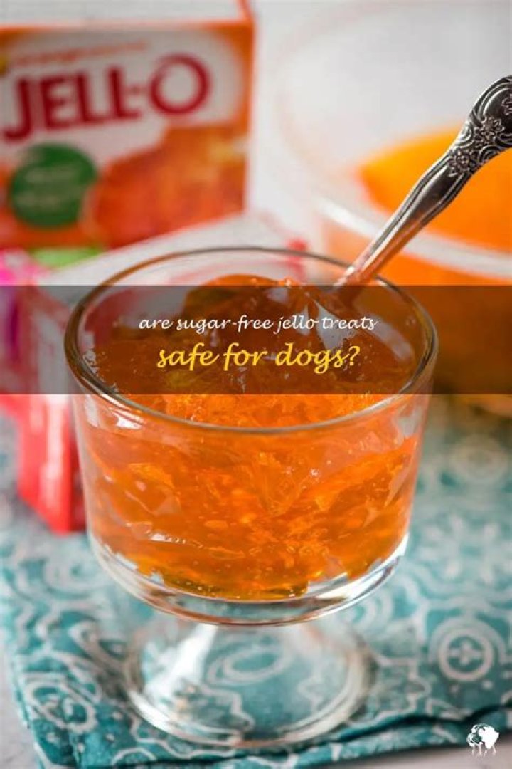 Can Dogs Have Sugar Free Jello