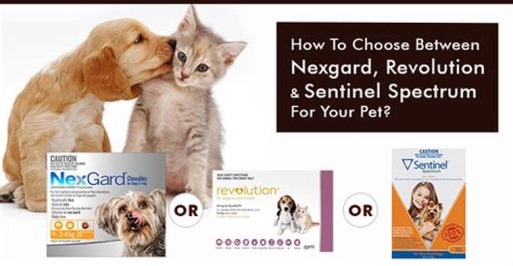 Can I Give My Dog Sentinel And Nexgard