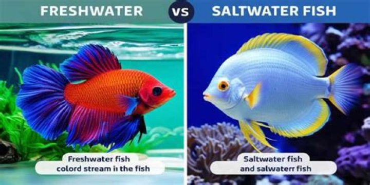 Can I Put Saltwater Fish In Freshwater
