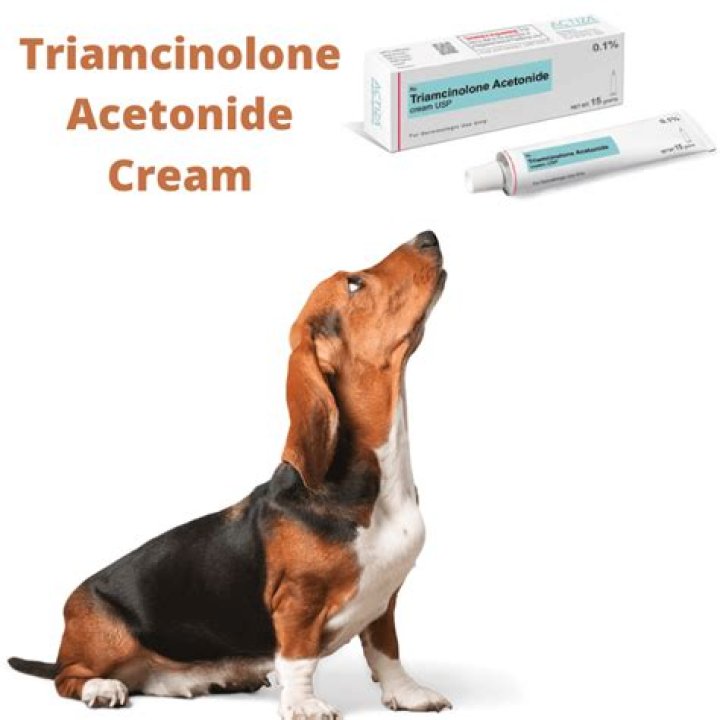 Can Triamcinolone Be Used On Dogs