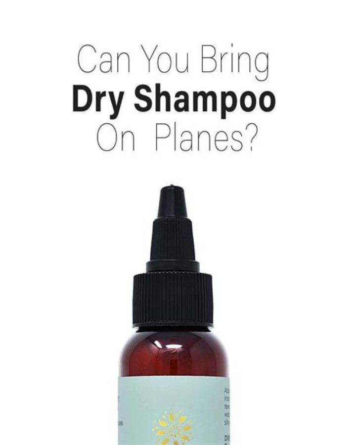 Can You Bring Travel Size Dry Shampoo On Plane