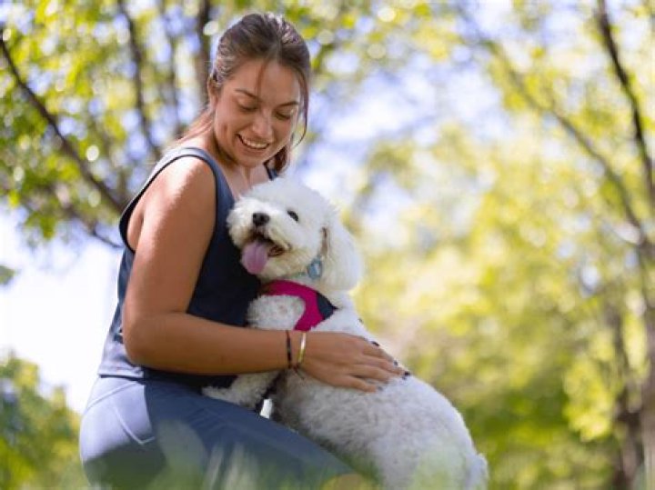 Can You Give Trifexis To A Pregnant Dog