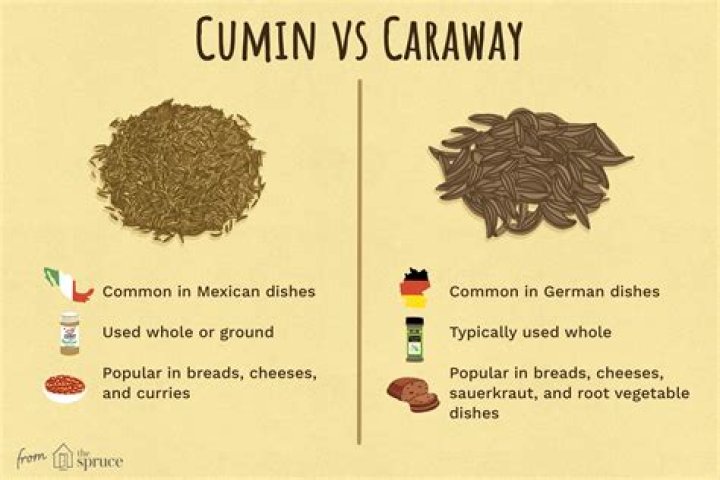 Cumin Vs Caraway - How To Discuss