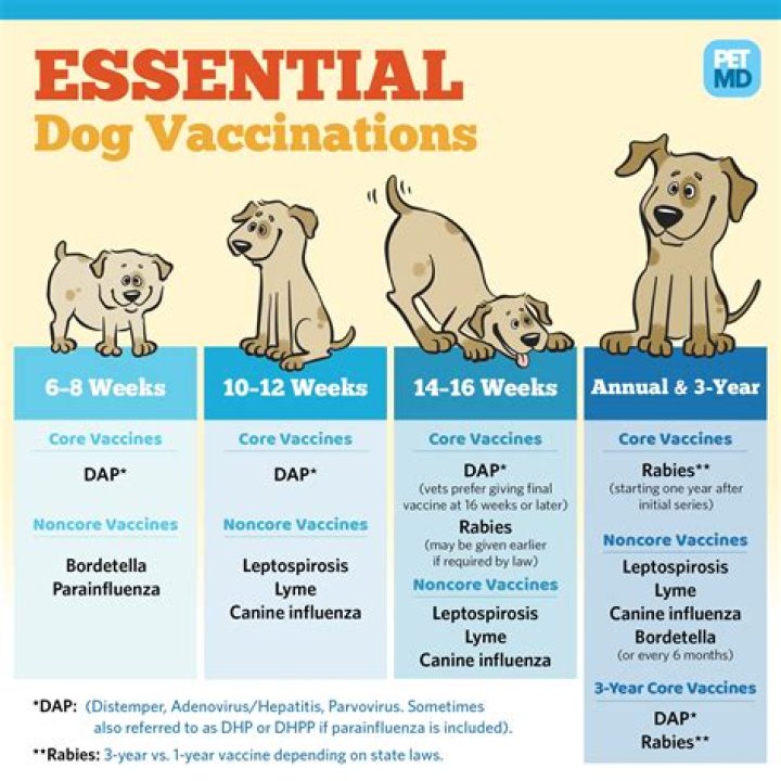 Do It Yourself Dog Vaccinations Tractor Supply
