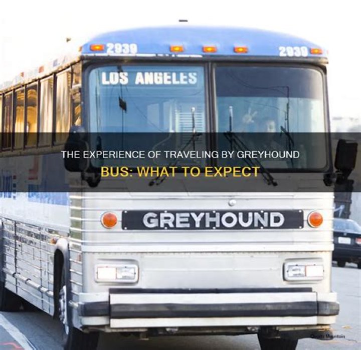 Do You Need An Id To Travel By Greyhound Bus