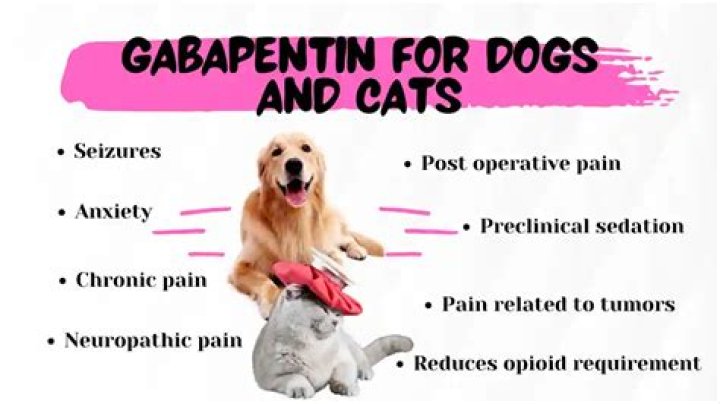 Does Gabapentin Cause Diarrhea In Dogs