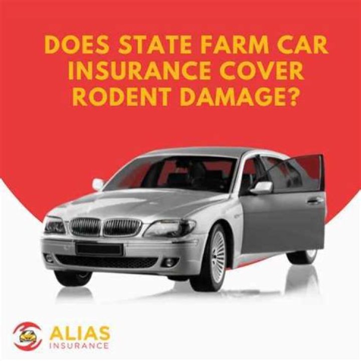 Does State Farm Auto Insurance Cover Rodent Damage