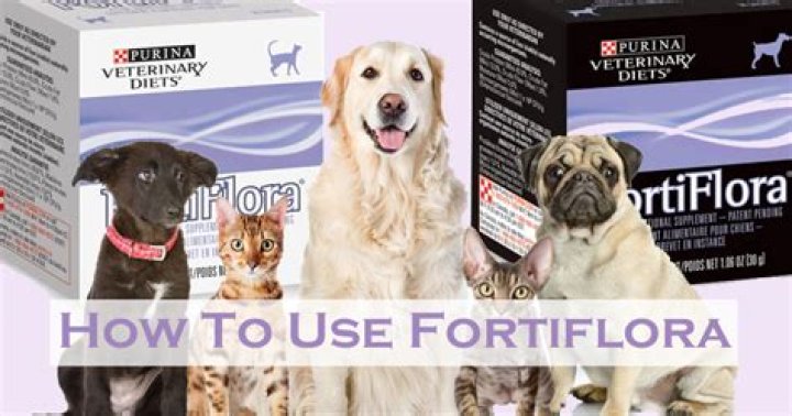 Fortiflora - How To Discuss