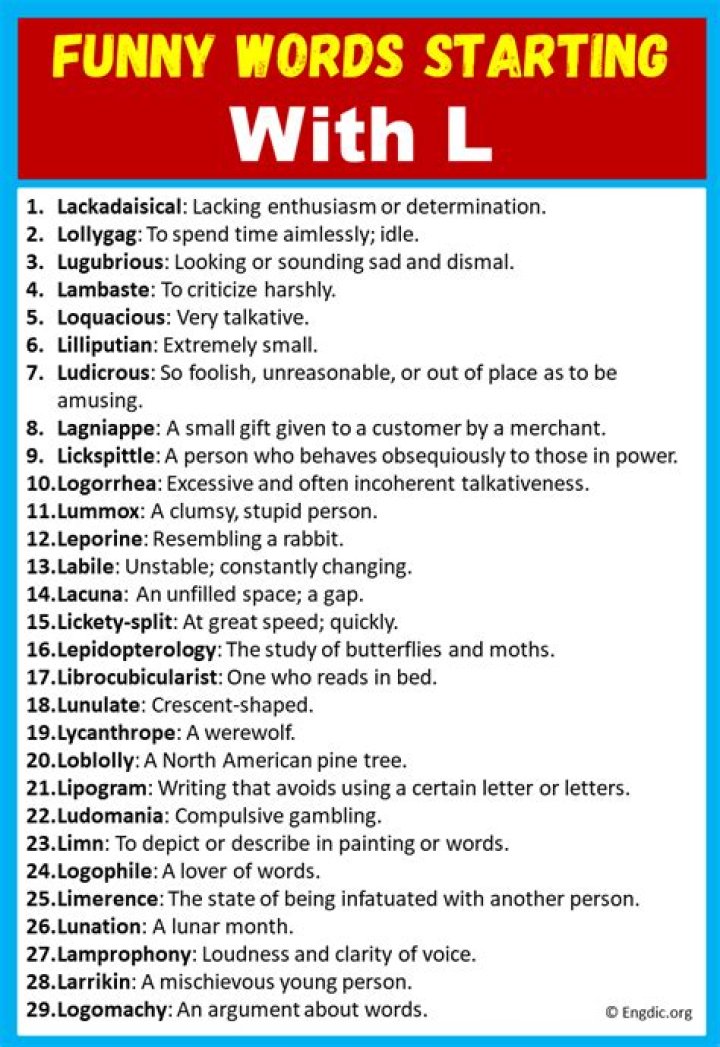 Funny Words That Start With L
