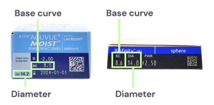 How Do I Know My Base Curve For Contacts