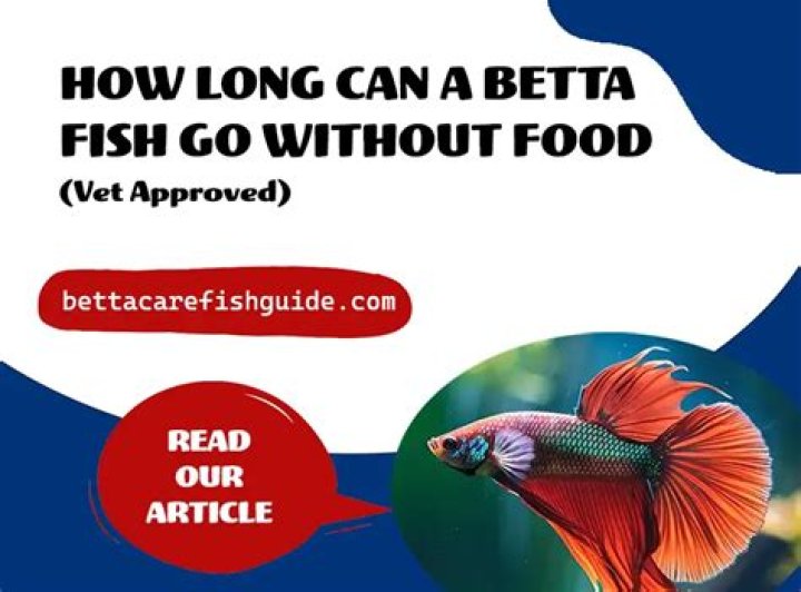 How Long Can My Betta Fish Go Without Eating