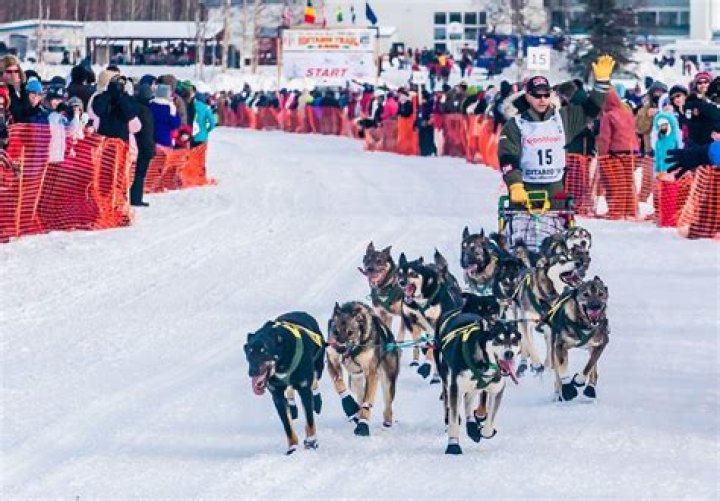 How Long Is The Iditarod Dog Sled Race