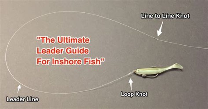 How Long Should The Leader Line Be Bass Fishing
