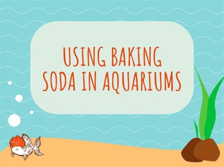 How Much Baking Soda For Fish Tank