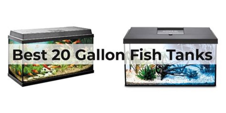 How Much Is A 20 Gallon Fish Tank Cost