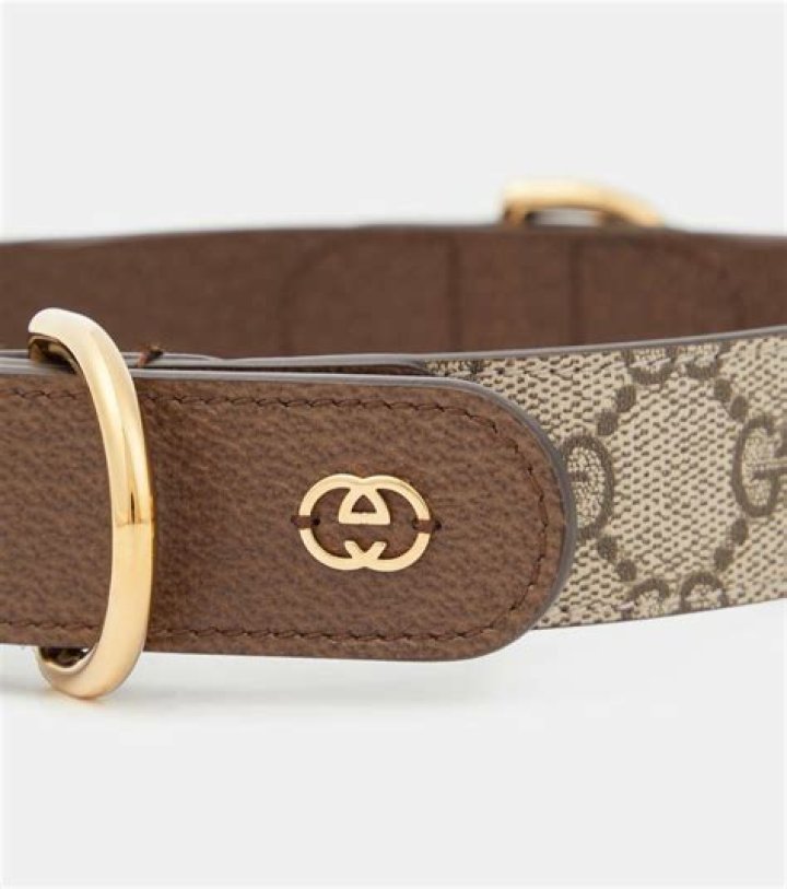 How Much Is A Gucci Dog Collar