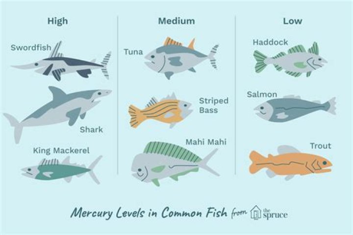 How Much Mercury Is In Swai Fish