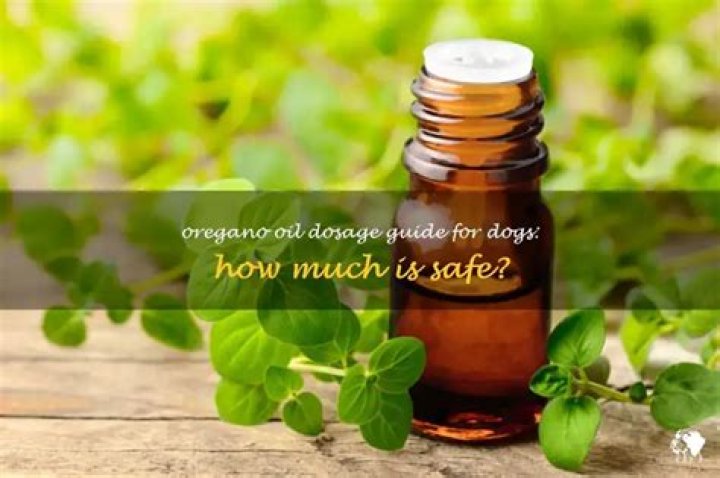 How Much Oregano Oil To Give My Dog