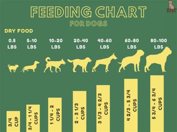 How Much To Feed A 60Lb Dog