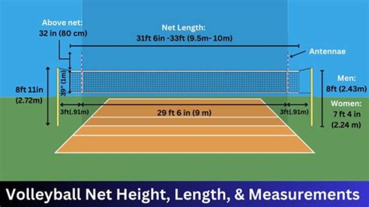 How Tall Is A Mens Volleyball Net