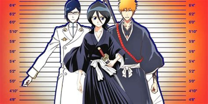 How Tall Is Rukia - How To Discuss