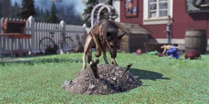 How To Heal Your Dog In Fallout 4
