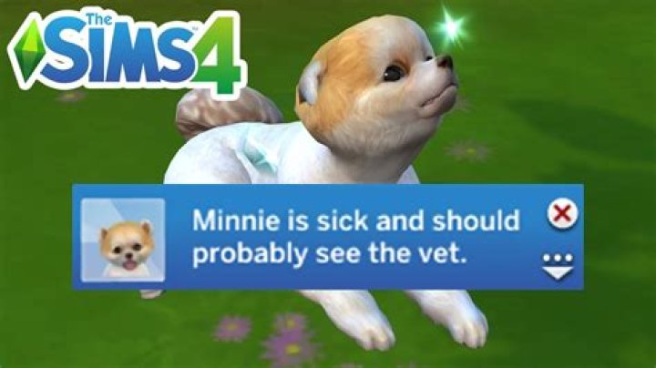How To Make A Dog Sick Sims 4