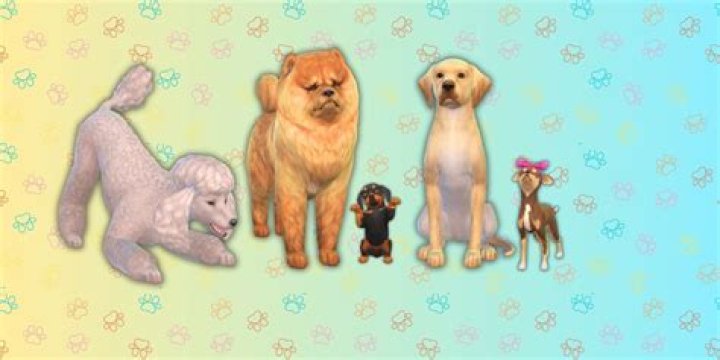 How To Make A Female Dog Sims 4