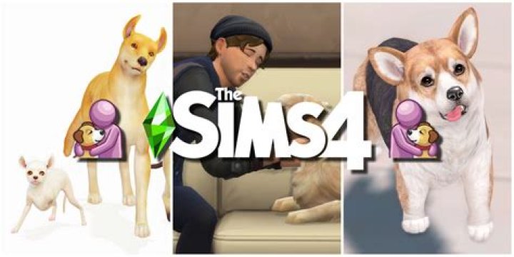 How To Make Dog Treats Sims 4