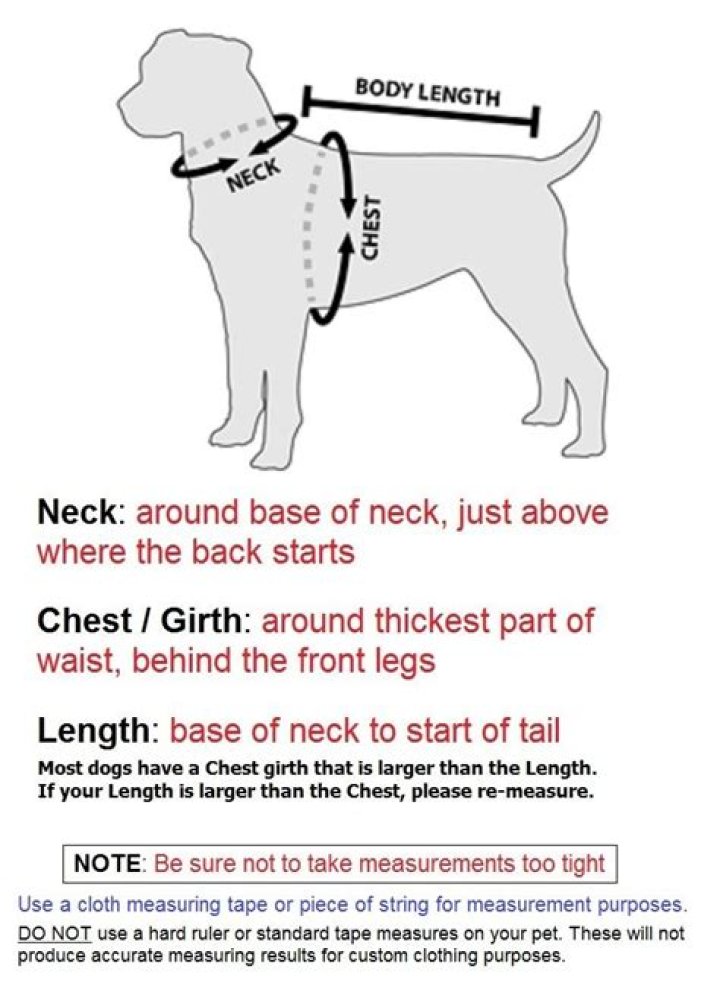 How To Measure A Dog’s Chest
