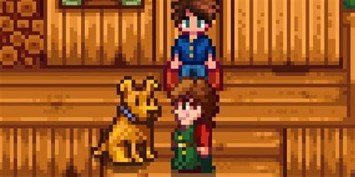 How To Take Care Of Dog In Stardew Valley