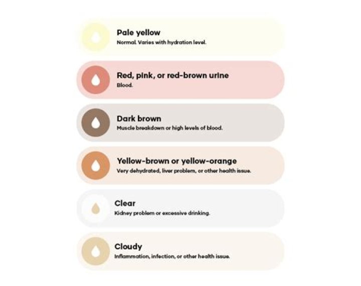 How To Tell The Difference Between Dog And Cat Urine