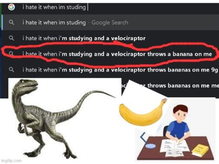 I Hate It When I M Studying And A Velociraptor
