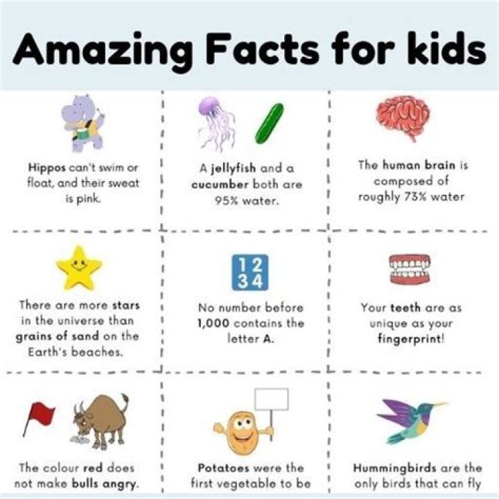 Interesting fun facts - How To Discuss