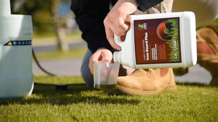 Iron for lawns - How To Discuss