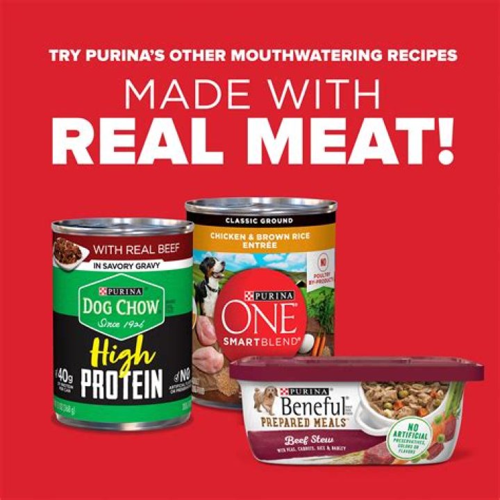 Is Alpo Canned Dog Food Good For Dogs