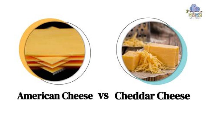 Is American Cheese Bad Forthe Dogs