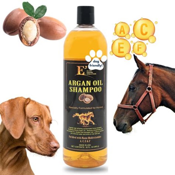 Is Argan Oil Good For Dogs Fur